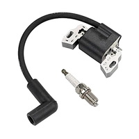 Деталировка двигателя STIHL Запчасти для двигателя B&S 08P502-0129-H1