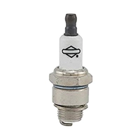 Деталировка двигателя STIHL Запчасти для двигателя B&S 31R507-0008-B1