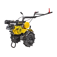 Деталировка культиватора CHAMPION BC-9813