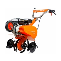 Запчасти для культиватора DAEWOO DAT 5560R 2016-2020