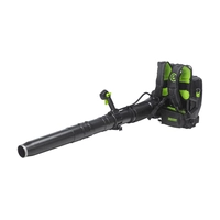 Деталировка воздуходувки GreenWorks GC82B13