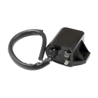 CDI + катушка для скутера Suzuki AD-50 MVH