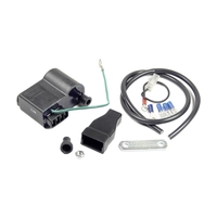 CDI для скутера YAMAHA 3VP, 6 контактов MALOSSI (Италия)