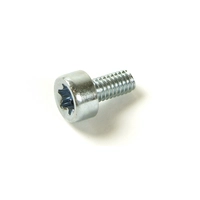 Болт TORX4