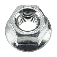 Гайка крышки шины для бензопилы CHAMPION 137, 142/250, 55 М8х1, 25