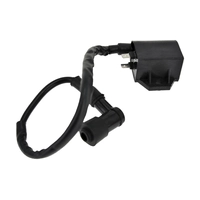 CDI + катушка для скутера Suzuki AD-50 WM