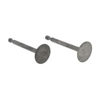 Клапаны 168F/168F-2/170F/1P70FV-B впуск/выпуск (пара) (ОРИГИНАЛ, LIFAN) WM