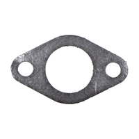 Прокладка глушителя (W300FS/P)