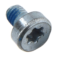 Винт с цилиндрической головкой (M5*6)