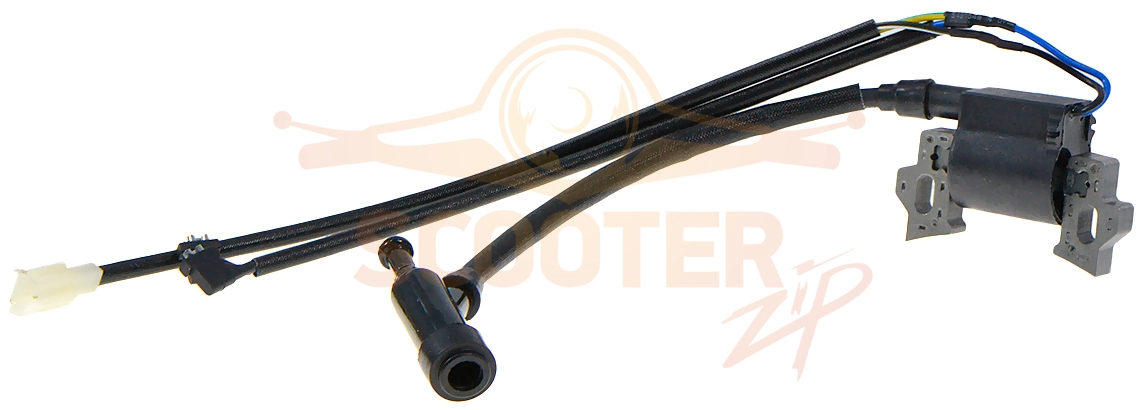 Катушка зажигания в сборе поз.1 W210FS/P-1 (2022)