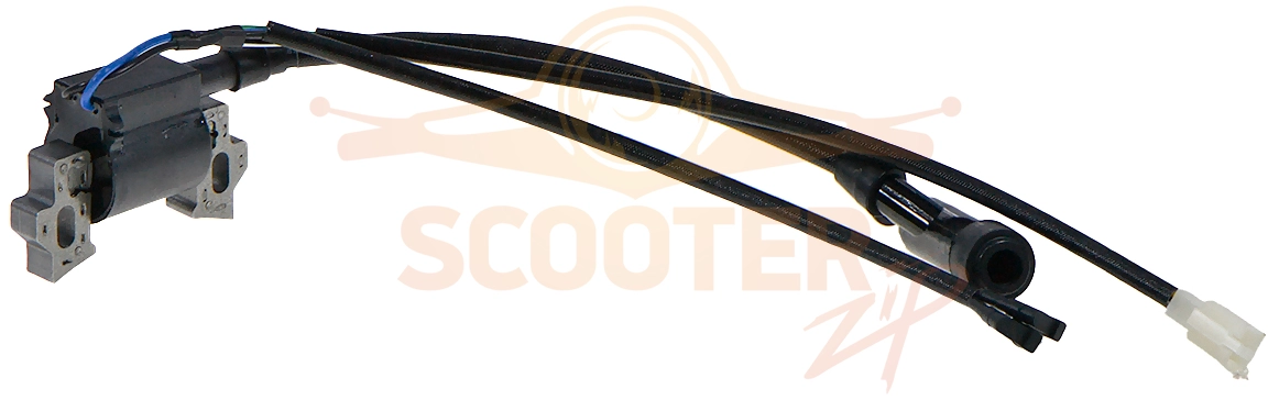 Катушка зажигания в сборе поз.1 W210FS/P-1 (2022)