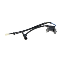 Катушка зажигания в сборе поз.1 W210FS/P-1 (2022)