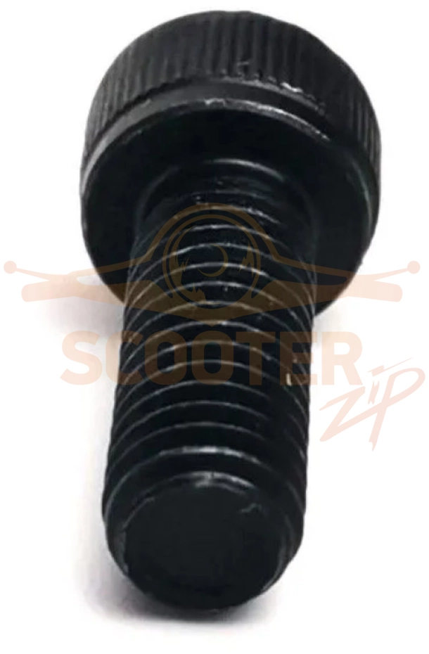 Шестигранный винт m6*16 для воздуходувки Holzfforma FL8500