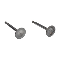 Комплект клапанов VSE-168F (168F, GX160, GX200)