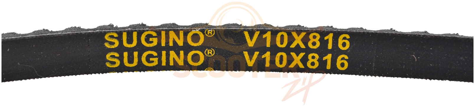 Ремень V10X816 для газонокосилки Sturm! PL5117SVE