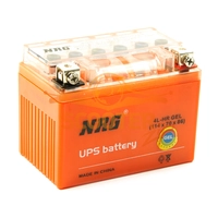 АКБ YTX 4L-BS 12V 4Ah (4L-HR) (114 х 70 х 86) /- +/ гелевый NRG