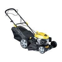 Газонокосилка CHAMPION LM4630 (3кВт привод травосб.60л ширина 46см 25-75мм, 3в1, 29, 3кг)