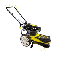 Газонокосилка CHAMPION LMH5629 (2.9кВт привод ширина 60см, корд 4мм/546мм 29, 9кг)