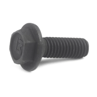 Болт M6х17 фланца шестигранный Makita 251609-3