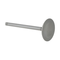 Всасывающий клапан Makita 20B33401H3