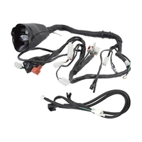 Жгут проводов для мотоцикла IRBIS TTR250Rb MVH