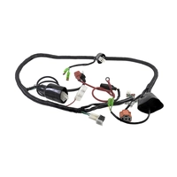 Жгут проводов для мотоцикла IRBIS TTR250a MVH