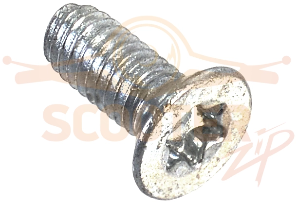 Винт BOSCH 1613435023