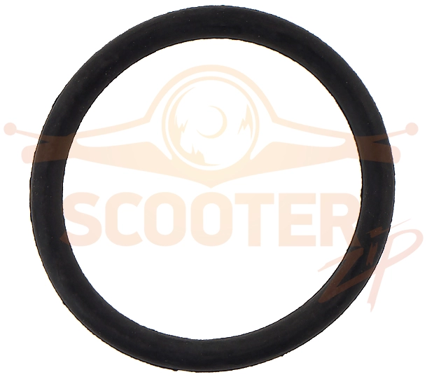 Кольцо крыльчатки уплотнительное для мотопомпы CHAMPION GP-51