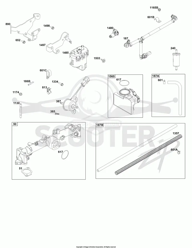 Throttle Body and Fuel Supply Group
