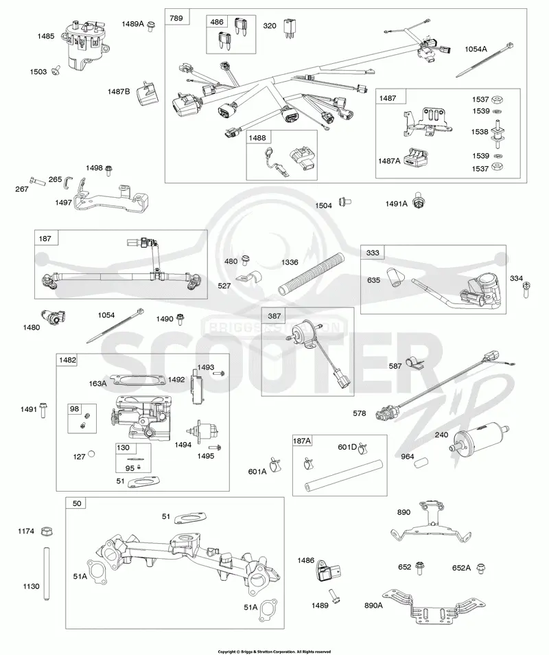 Intake Manifold, Throttle Body, Fuel Supply