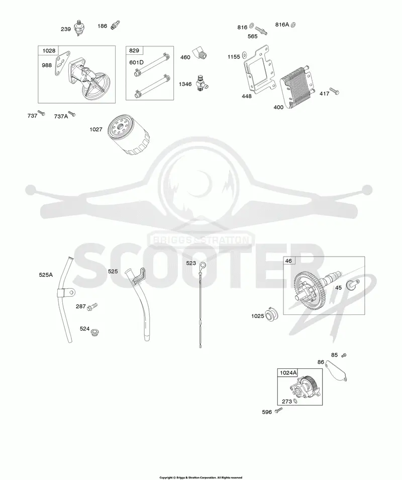 Lubrication, Cam Shaft