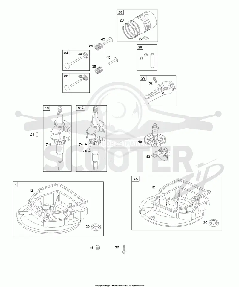 Camshaft, Crankcase Cover/Sump, Crankshaft, Piston/Rings/Connecting Rod