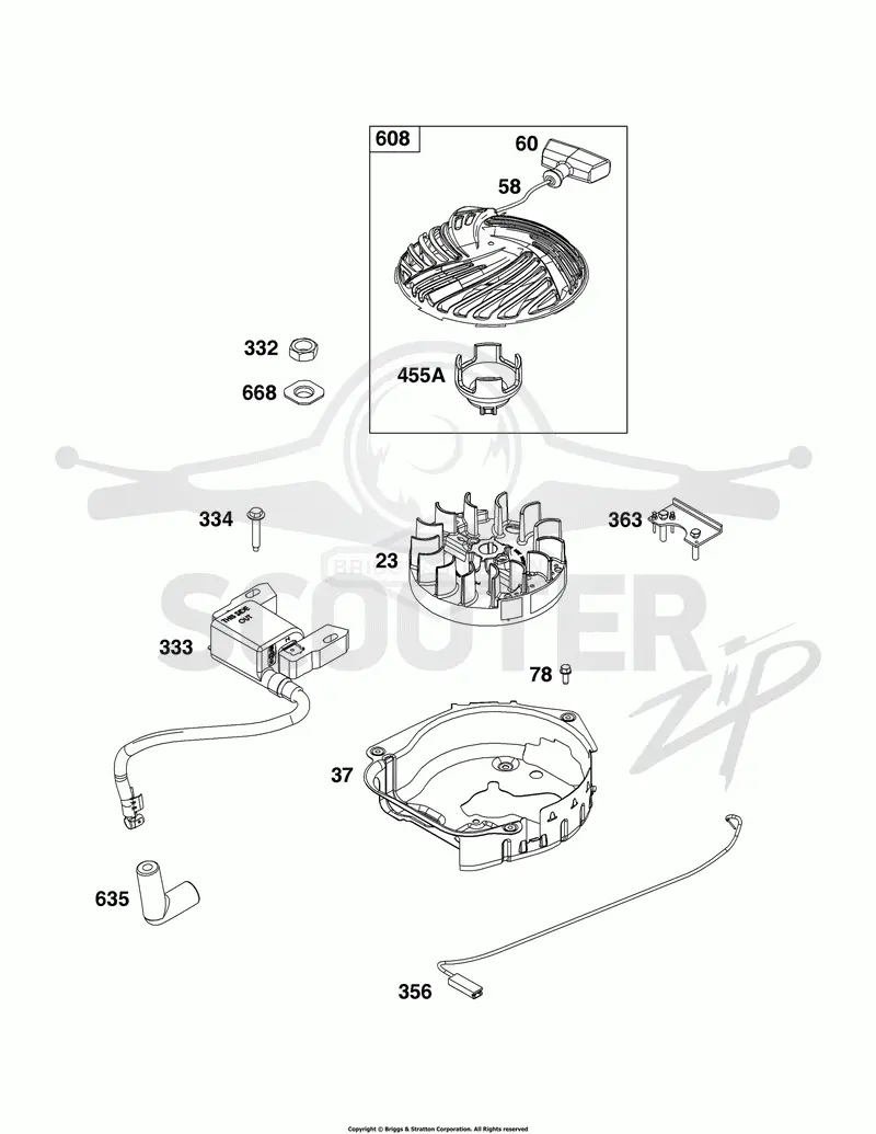 Flywheel, Ignition, and Starter Group