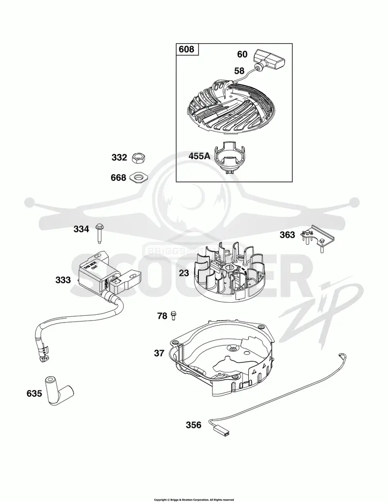 Flywheel, Ignition, and Starter Group