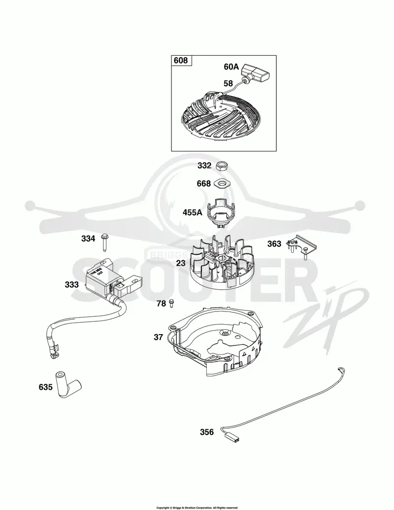 Flywheel, Ignition, and Starter Group