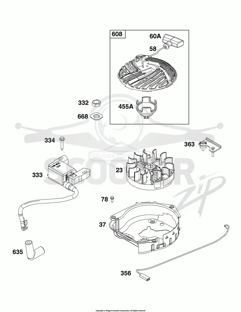 Flywheel, Ignition, and Starter Group
