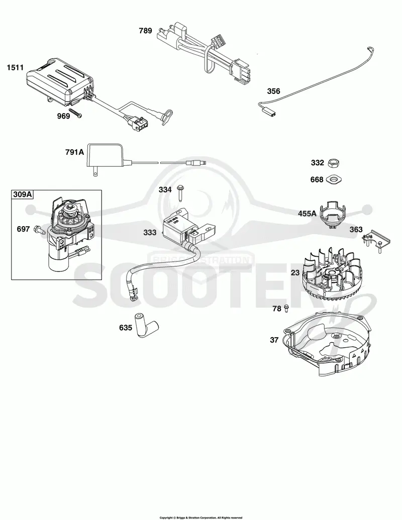 Flywheel, Ignition, and Starter Group