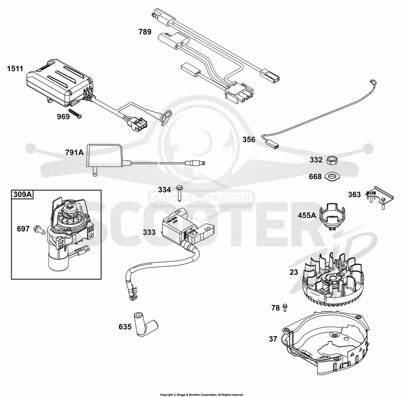 Flywheel, Ignition, and Starter Group