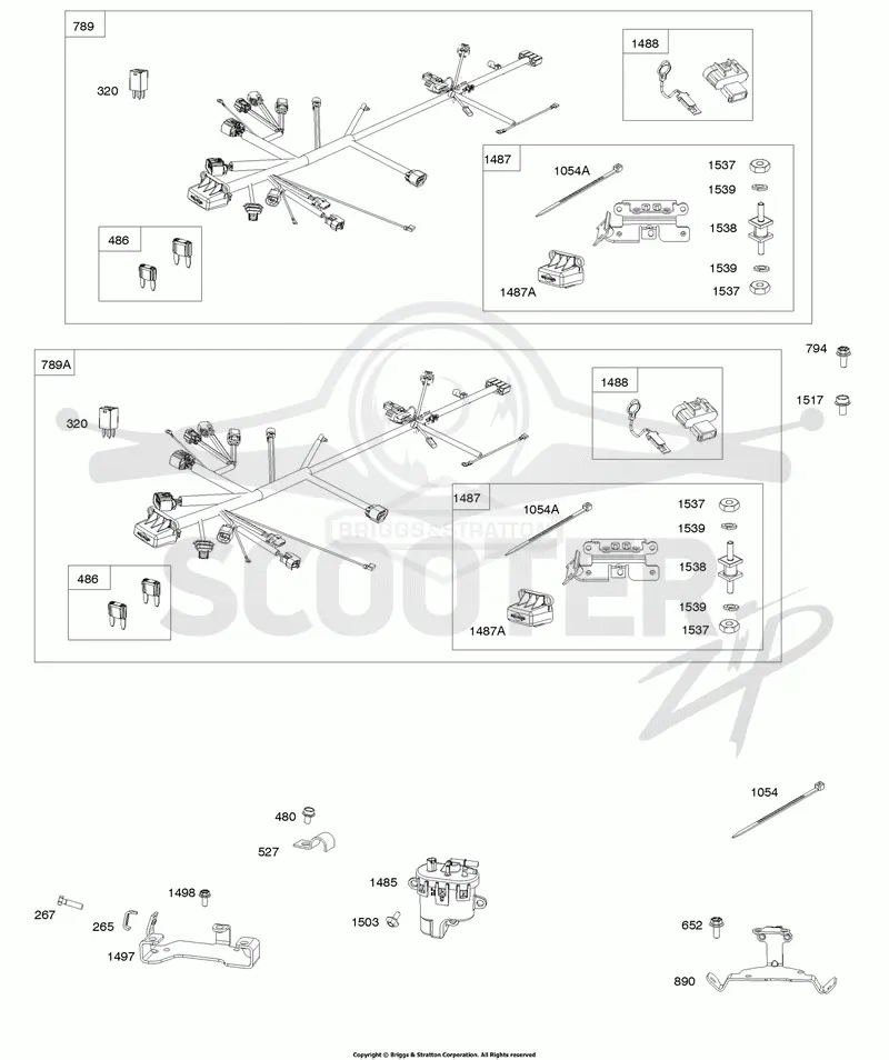 Wire Harnesses, Fuel Module, Brackets