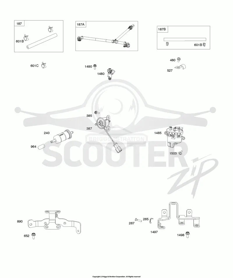 Fuel Pump, Fuel Module, Fuel Lines