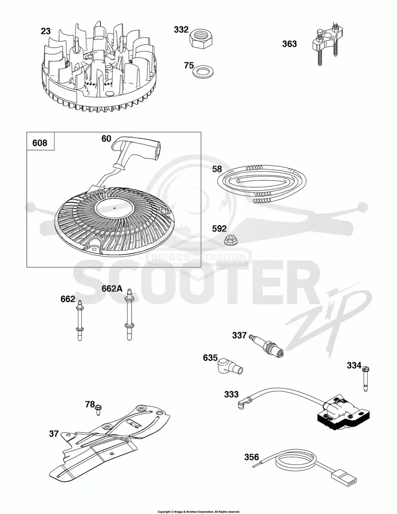 Flywheel, Ignition, and Starter Group