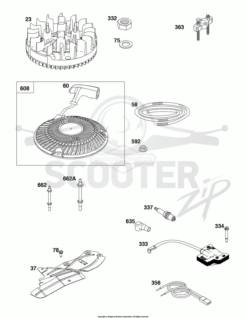 Flywheel, Ignition, and Starter Group