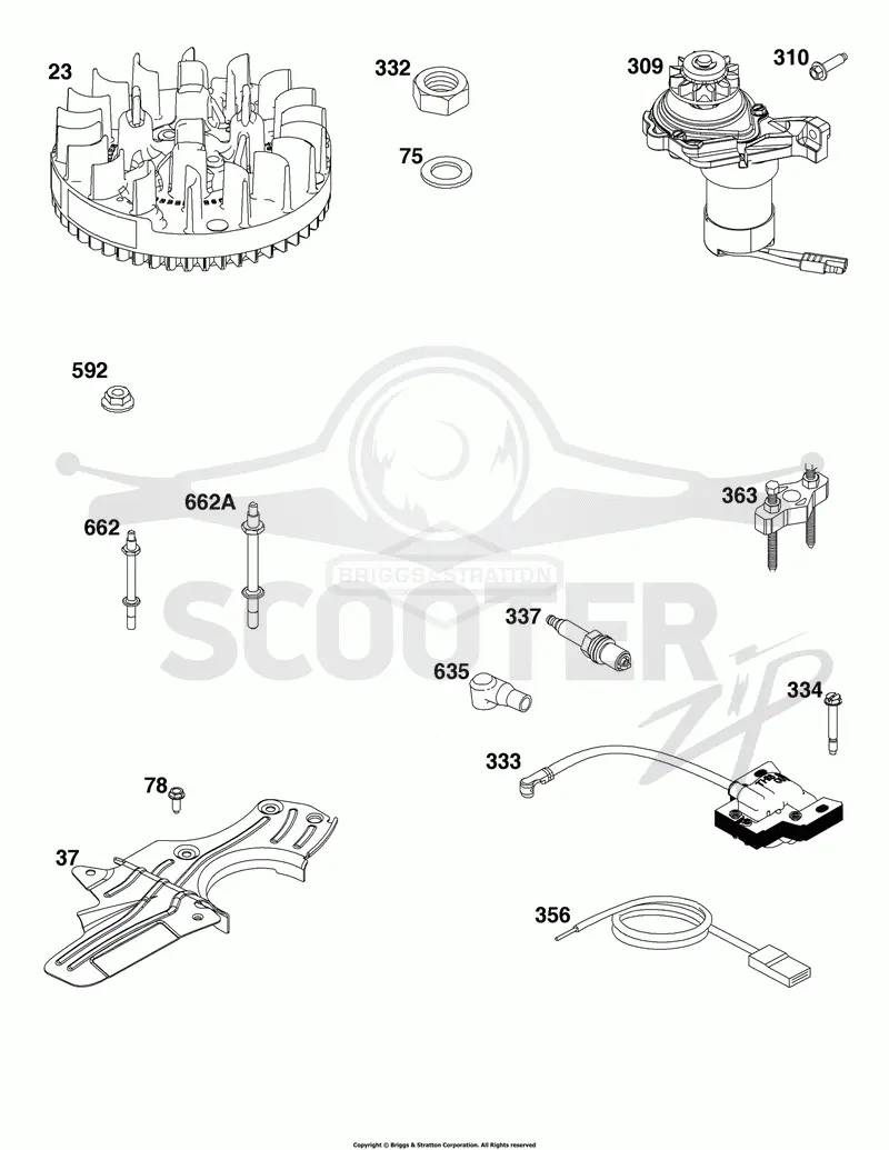 Flywheel, Ignition, and Starter Group