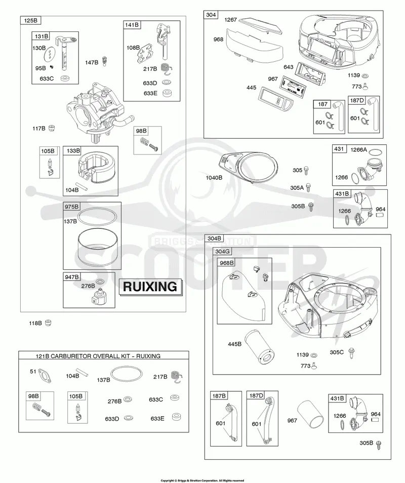 Ruixing Carburetor, Air Cleaner, Blower Housing, Exhaust System