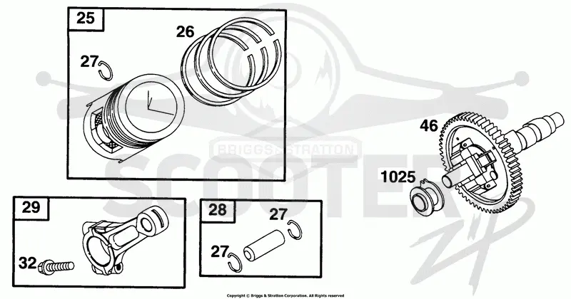 Piston Grp, Cam