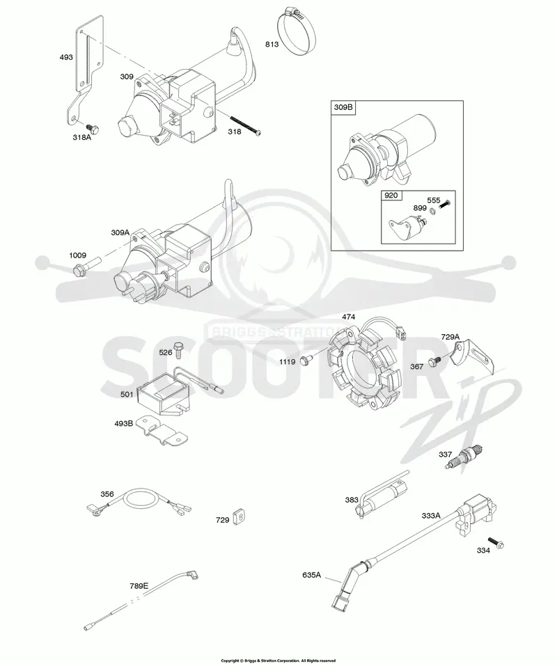 Alternator, Electrical Starter, Ignition