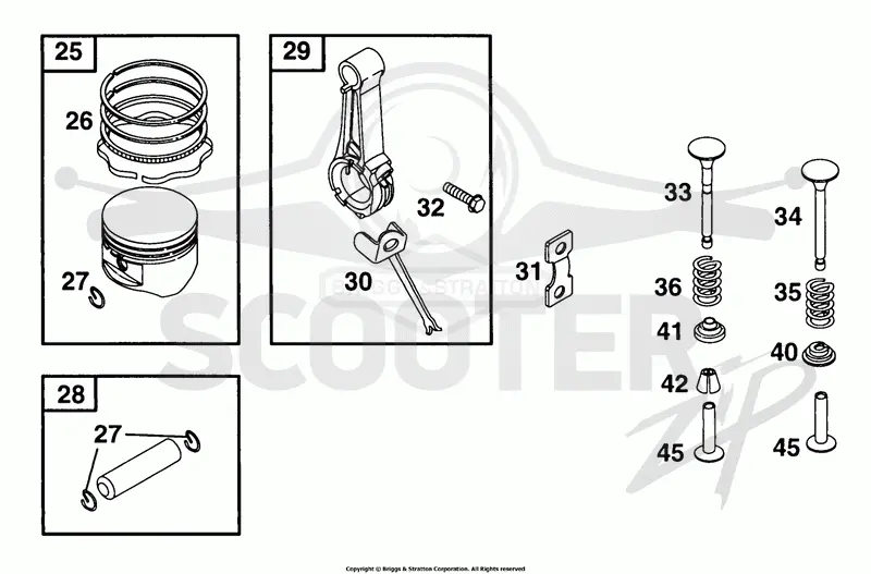 Piston Grp