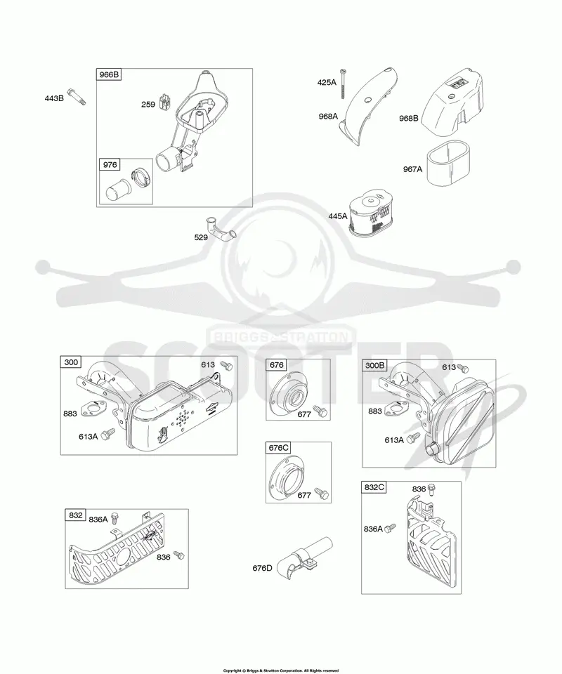 Air Cleaner, Exhaust System