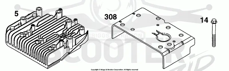 Head