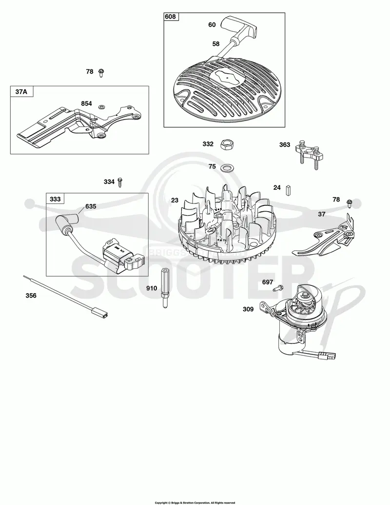 Flywheel, Ignition,and Starter Group